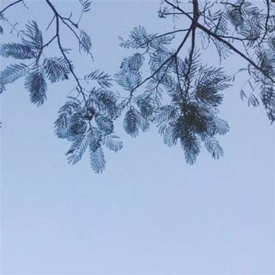 百度小米超神正式服下载